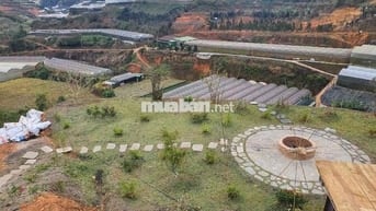 Cắt lỗ lô 1032m2 tiện phân lô view đẹp săn mây Đà Lạt công chứng ngay