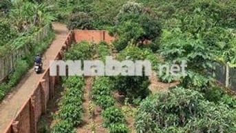 Đất Xã Hoà Khánh 3 Lô Liền Kề Giá Tốt