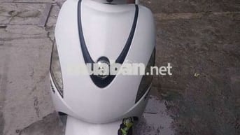 ELIZABETH BS BÌNH ĐỊNH