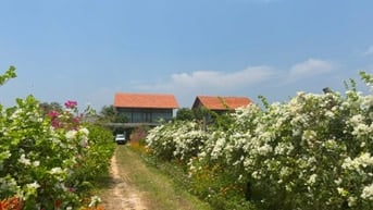 Đi để chill, về để nhớ tại Villa Hồ Tràm