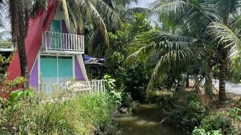 Căn hộ Bungalow cho gia đình – sân vườn rộng, chỗ đậu xe