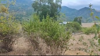 BÁN ĐẤT GIÁ RẺ 2.000m² – CAM PHƯỚC ĐÔNG, TP. CAM RANH, KHÁNH HÒA 