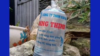 TÚI ĐỰNG CÁ GIỐNG Giải Pháp Đóng Gói, Vận Chuyển Cá An Toàn & Hiệu Q