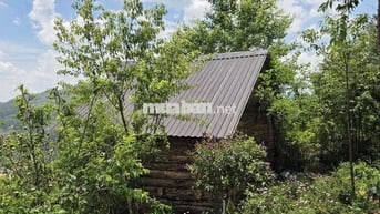 Một vườn đồi 1200m² yên bình ở Đồng Nai, nơi “hương mùa vương áo" 🌿