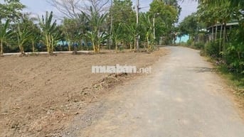 Đất rẻ gần 1000m2 đất thổ cư mặt tiền đường nhựa kế thành phố Gò Công