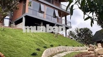 🌿Vườn đồi 2400m² Đồng Nai, Không gian sống xanh yên bình chỉ 850tr/sào