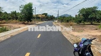 CỰC RẺ CHỦ MUA 4TY5, NHƯNG NAY CẮT LỖ SÂU. BÁN 1TY950