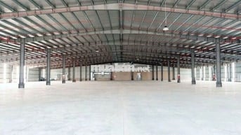 Cho thuê 3 kho mới xây trong KCN Thuận Đạo, Long An (cũ),PCCC tự động
