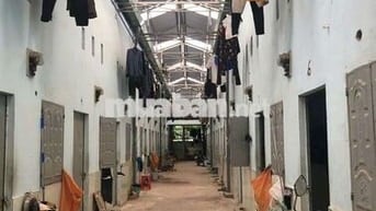 BÁN 2 DÃY TRỌ 26 PHONG 1 KIOT Ngang 12m ĐƯONG BÌNH CHUẨN 39 XE HƠI