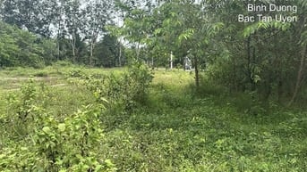 CÔNG TY ĐẤU GIÁ HỢP DANH MINH PHÁP THÔNG BÁO ĐẤU GIÁ TÀI SẢN