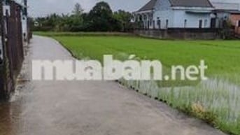 Bán đất nền xã Mỹ Yên - Mặt tiền đường bê tông - Thổ cư 100%