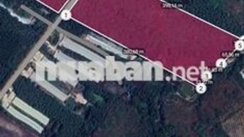 Bán đất 72549m² ) mặt tiền 280m khu vực nhiều trang trại chăn nuôi