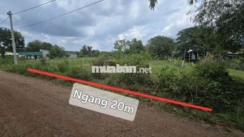 BÁN 1000M2 ĐẤT THỔ - CÁCH QL55 200M - NẰM KDC HIỆN HỮU !