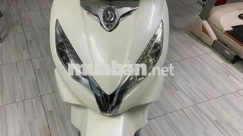 xe Shark trắng đầu zin