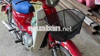 bán xe cup học sinh