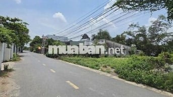 Cần sang nhanh 500m2 đất MT DH519 đường nhựa 32m giá rẻ