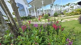 BÁN VƯỜN ĐẤT CÓ VILLA  – VIEW ĐỒI THÔNG, GẦN ĐÀ LẠT