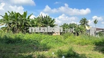 CHÍNH CHỦ CẦN BÁN ĐẤT THỔ CƯ – XÃ LONG HÒA, TỈNH LONG AN 📍 Vị trí: Xã