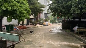 Cho thuê nhà nguyên căn chính chủ 65m2 Đường Thạnh Lộc 28