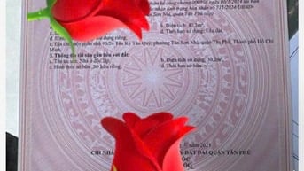 Nhà cấp 4 Tân Phú giá 4 tỷ 450 thương lượng