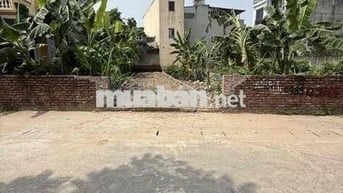 ĐẤT HIẾM - SỔ ĐẸP - KINH DOANH - Ô TÔ TẢI TRÁNH