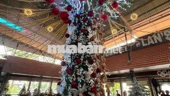 ☕ BÁN QUÁN CAFE GÓC MẶT TIỀN – TRUNG TÂM TP. VĨNH LONG 🌿