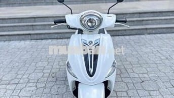 ❤️ Nozza Fi 2015 BSTP Zin Mộc 1 Đời Chủ Uỷ Quyền