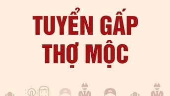 CÔNG TY CHI ANH TUYỂN GẤP THỢ MỘC & PHỤ MỘC GỖ THÔNG