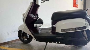 cần bán hoặc gl sang xe số