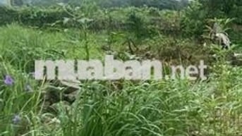 Hot ! Nhỉnh 20tr/m2 có lô đất Định Công Hạ-Oto 40m-Lô góc-70m;MT5m