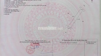 ĐẤT TRỒNG CÂY LÂU NĂM - 210,5m - HOÀ LỘC - TAM BÌNH - VĨNH LONG