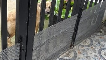 Bán nhà 1 trệt 1 lầu tại phường tân triều