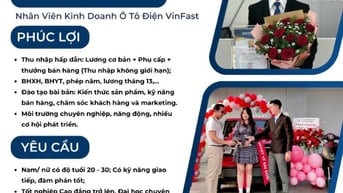 𝐍𝐡â𝐧 𝐕𝐢ê𝐧 𝐊𝐢𝐧𝐡 𝐃𝐨𝐚𝐧𝐡 - Ô Tô Điện VinFast