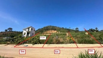 Công ty Đấu giá hợp danh Lam Sơn Sài Gòn THÔNG BÁO ĐẤU GIÁ TÀI SẢN