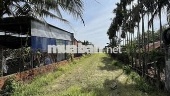 Đất đẹp 543m2 Gia Lộc, Trảng Bàng, TN. Đg nhựa, nở hậu, giá chỉ 1,1 tỷ