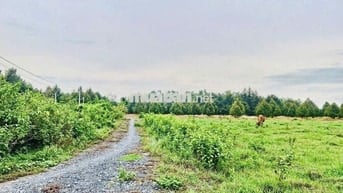 Hơn 1000m2 đường thông. Ngay KCN Phước Đông. 850tr