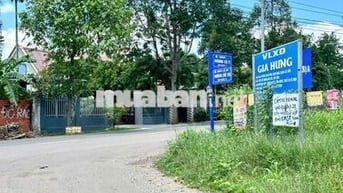 CHỦ KẸT TIỀN BÁN GẤP LÔ ĐẤT DIỆN TÍCH RỘNG NGAY ĐƯỜNG 28 HÒA LONG