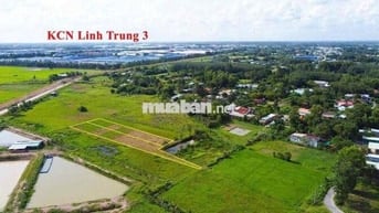 🌿 BÁN NHANH ĐẤT VƯỜN 1200m2-GIÁ 1tỷ2 - XÃ THÁI MỸ, CỦ CHI 🌿