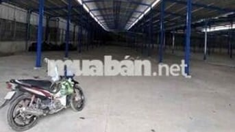Cho thuê kho, xưởng 1000m2 Bà Điểm HCM