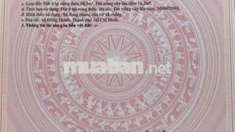 🆘CHÍNH CHỦ GỬI BÁN ĐẤT ĐƯỜNG ĐẶNG THÚC VỊNH, GẦN CHỢ UBX ĐÔNG THẠNH