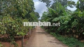 Đất xã kim Long , TPHCM cần bán