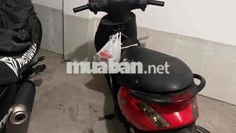 Xe zip đỏ Piago 2017