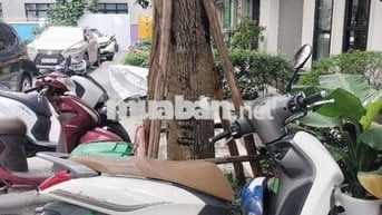 Xe máy Yamaha Janus màu trắng đời 2024