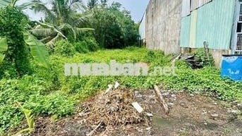 Đất Ngộp Giá Rẻ 850tr - 105m2 Đường Cây Trôm Mỹ Khánh , Sổ Hồng Riêng