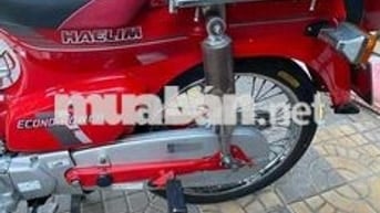 xe custom 50 hàn quốc halim