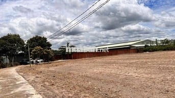 Lô đất đẹp 250m² – giá chỉ 590tr, đầu tư siêu lời 💰