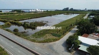 sang lại 1,1 hecta đất cảng tân tập