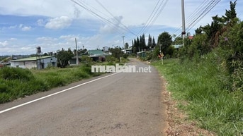 Bán đất CLN mặt tiền đường Thôn 14 - Phường 2 Bảo Lộc, LĐ