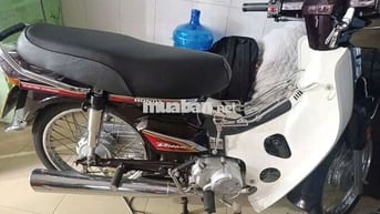 Xe Dream Rin Như hình