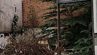 Bán đất 65m2 ( 6.5 x 10m ) , hẻm 3 gác 